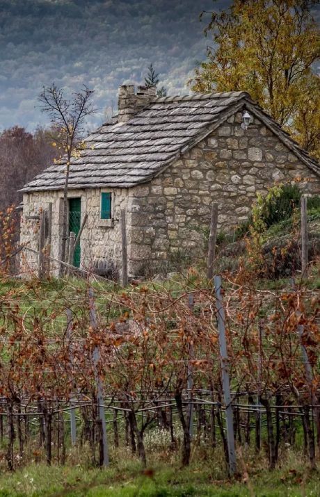 A stone house with vines growing in the background.